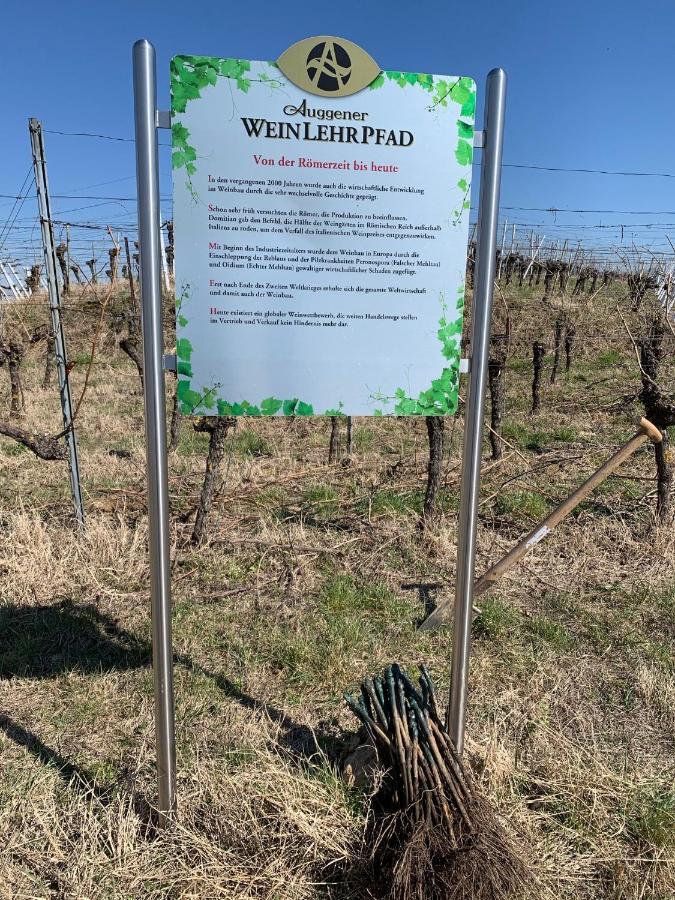 Ruedlins-Winzerhof Daire Auggen Dış mekan fotoğraf